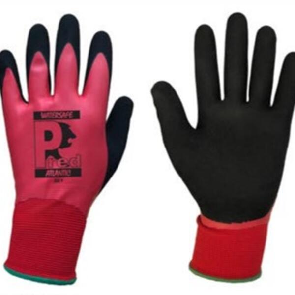 Pred Atlantic Thumbnail