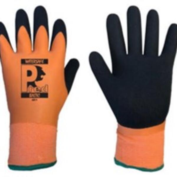 Pred Baltic Thumbnail